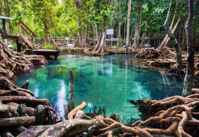Krabi Thailand Arudra Odysseys