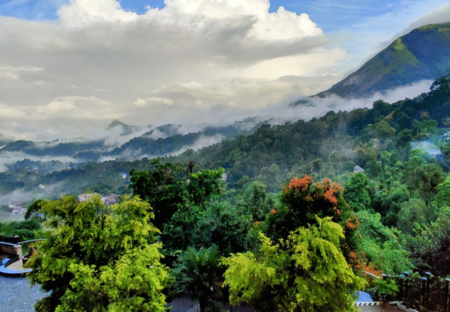 Munnar Kerala Arudra Odysseys Trip