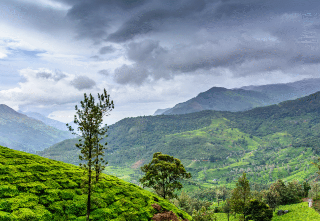 Thekkady Kerala Arudra Odyssey