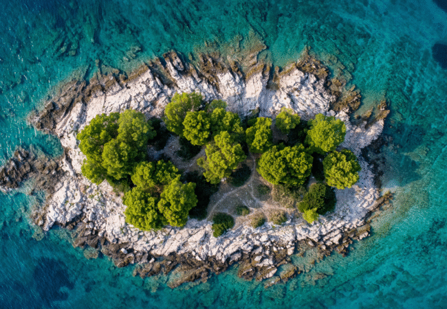 Bintan Island Arudra Odysseys
